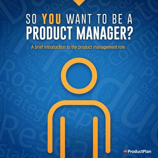 personal statement product manager